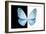 Miss Butterfly Euploea - X-Ray B&W Edition-Philippe Hugonnard-Framed Photographic Print