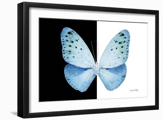 Miss Butterfly Euploea - X-Ray B&W Edition-Philippe Hugonnard-Framed Photographic Print