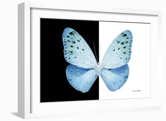 Miss Butterfly Euploea - X-Ray B&W Edition-Philippe Hugonnard-Framed Photographic Print