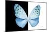 Miss Butterfly Euploea - X-Ray B&W Edition-Philippe Hugonnard-Mounted Photographic Print