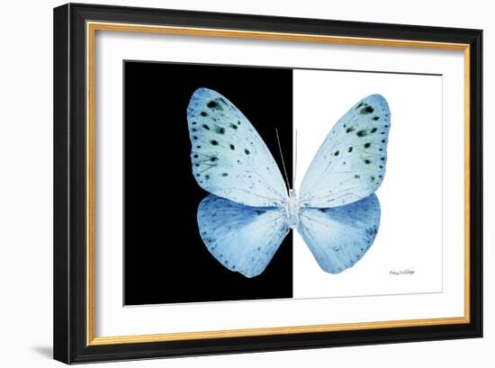 Miss Butterfly Euploea - X-Ray B&W Edition-Philippe Hugonnard-Framed Photographic Print