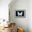 Miss Butterfly Euploea - X-Ray Black Edition-Philippe Hugonnard-Framed Photographic Print displayed on a wall