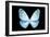 Miss Butterfly Euploea - X-Ray Black Edition-Philippe Hugonnard-Framed Photographic Print