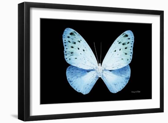 Miss Butterfly Euploea - X-Ray Black Edition-Philippe Hugonnard-Framed Photographic Print