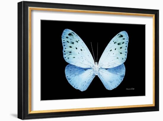 Miss Butterfly Euploea - X-Ray Black Edition-Philippe Hugonnard-Framed Photographic Print