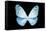 Miss Butterfly Euploea - X-Ray Black Edition-Philippe Hugonnard-Framed Stretched Canvas