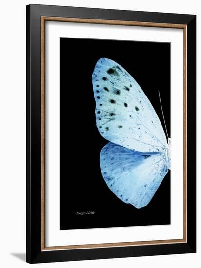 Miss Butterfly Euploea - X-Ray Left Black Edition-Philippe Hugonnard-Framed Photographic Print