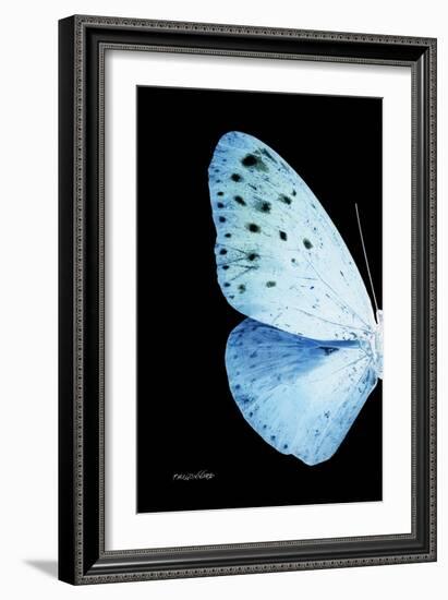 Miss Butterfly Euploea - X-Ray Left Black Edition-Philippe Hugonnard-Framed Photographic Print