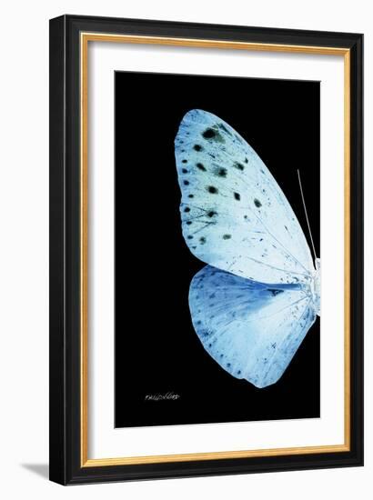 Miss Butterfly Euploea - X-Ray Left Black Edition-Philippe Hugonnard-Framed Photographic Print