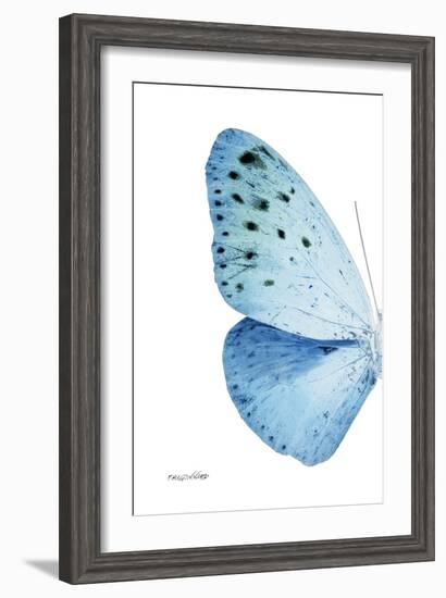 Miss Butterfly Euploea - X-Ray Left White Edition-Philippe Hugonnard-Framed Photographic Print