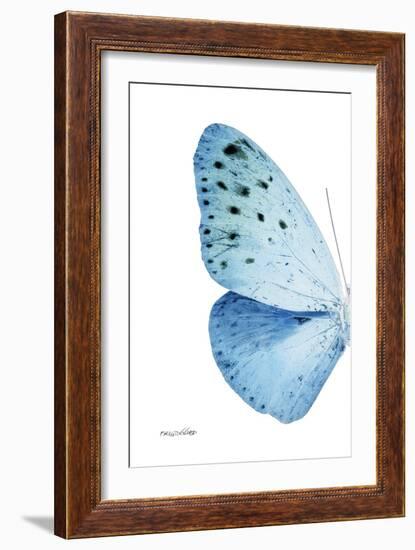 Miss Butterfly Euploea - X-Ray Left White Edition-Philippe Hugonnard-Framed Photographic Print