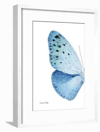 Miss Butterfly Euploea - X-Ray Left White Edition-Philippe Hugonnard-Framed Photographic Print