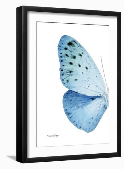 Miss Butterfly Euploea - X-Ray Left White Edition-Philippe Hugonnard-Framed Photographic Print