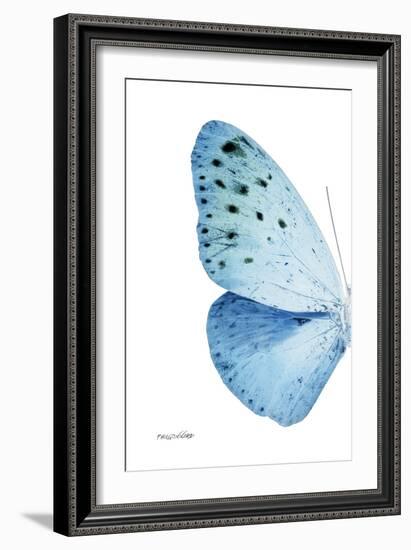 Miss Butterfly Euploea - X-Ray Left White Edition-Philippe Hugonnard-Framed Photographic Print