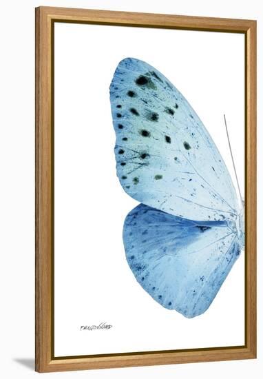 Miss Butterfly Euploea - X-Ray Left White Edition-Philippe Hugonnard-Framed Premier Image Canvas