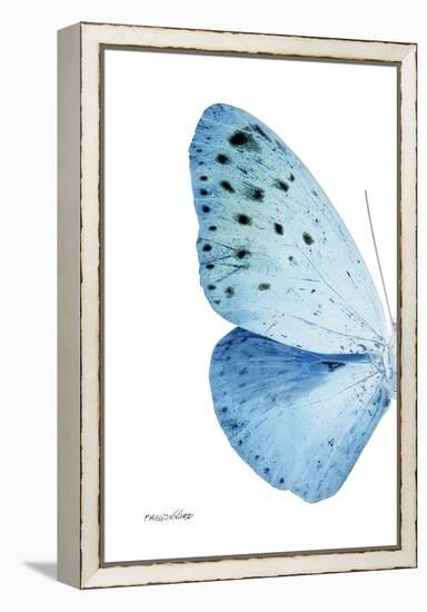 Miss Butterfly Euploea - X-Ray Left White Edition-Philippe Hugonnard-Framed Premier Image Canvas