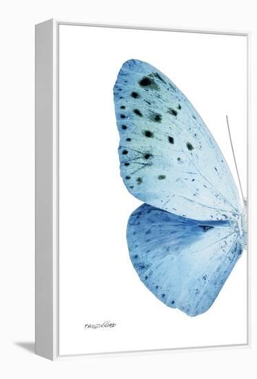 Miss Butterfly Euploea - X-Ray Left White Edition-Philippe Hugonnard-Framed Premier Image Canvas