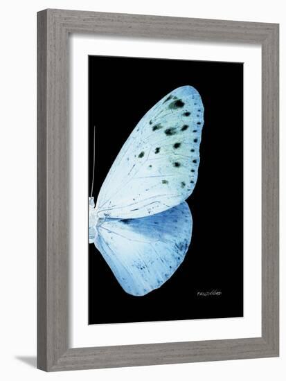 Miss Butterfly Euploea - X-Ray Right Black Edition-Philippe Hugonnard-Framed Photographic Print