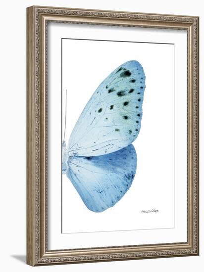 Miss Butterfly Euploea - X-Ray Right White Edition-Philippe Hugonnard-Framed Photographic Print