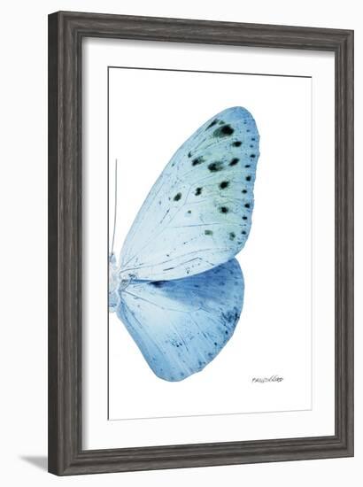 Miss Butterfly Euploea - X-Ray Right White Edition-Philippe Hugonnard-Framed Photographic Print