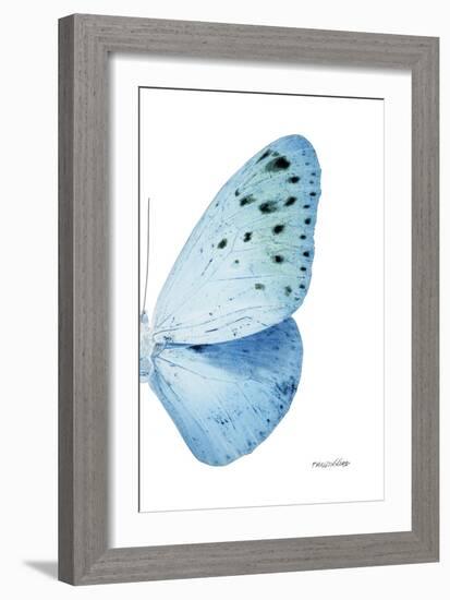 Miss Butterfly Euploea - X-Ray Right White Edition-Philippe Hugonnard-Framed Photographic Print