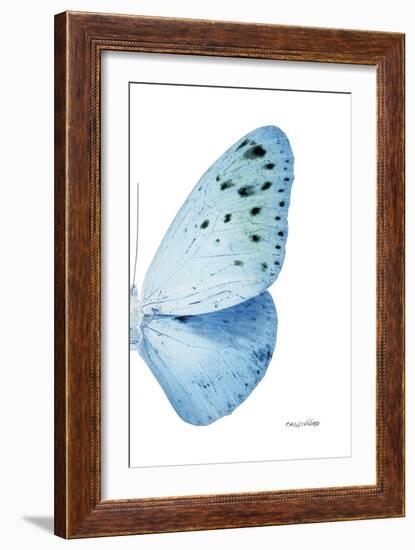 Miss Butterfly Euploea - X-Ray Right White Edition-Philippe Hugonnard-Framed Photographic Print