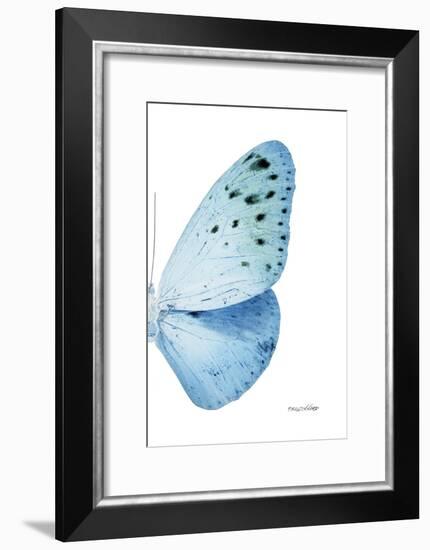 Miss Butterfly Euploea - X-Ray Right White Edition-Philippe Hugonnard-Framed Photographic Print