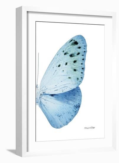 Miss Butterfly Euploea - X-Ray Right White Edition-Philippe Hugonnard-Framed Photographic Print