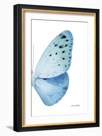 Miss Butterfly Euploea - X-Ray Right White Edition-Philippe Hugonnard-Framed Photographic Print