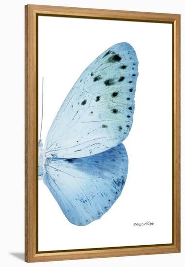 Miss Butterfly Euploea - X-Ray Right White Edition-Philippe Hugonnard-Framed Premier Image Canvas