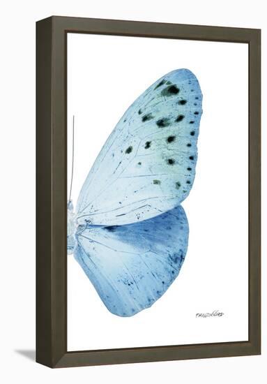 Miss Butterfly Euploea - X-Ray Right White Edition-Philippe Hugonnard-Framed Premier Image Canvas