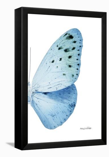 Miss Butterfly Euploea - X-Ray Right White Edition-Philippe Hugonnard-Framed Premier Image Canvas