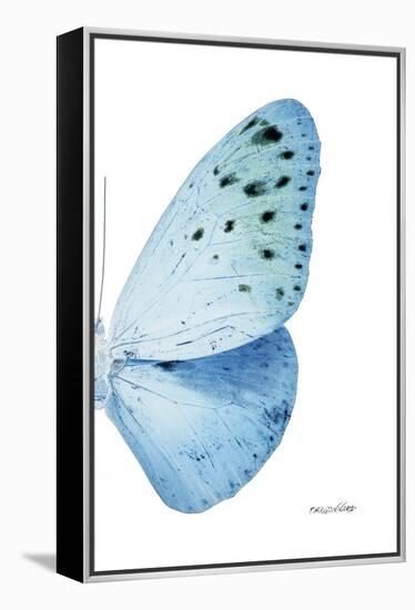 Miss Butterfly Euploea - X-Ray Right White Edition-Philippe Hugonnard-Framed Premier Image Canvas