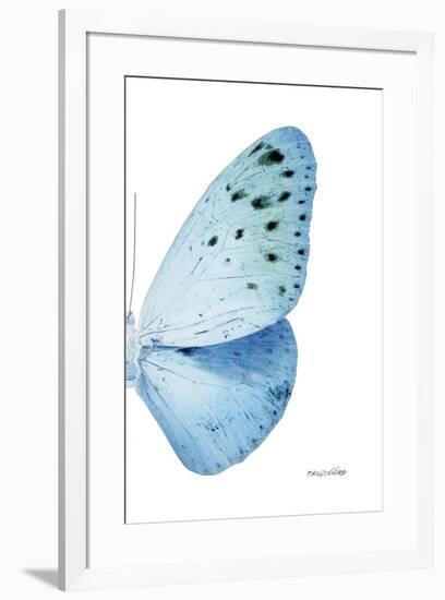 Miss Butterfly Euploea - X-Ray Right White Edition-Philippe Hugonnard-Framed Photographic Print