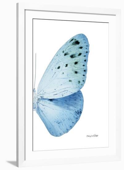 Miss Butterfly Euploea - X-Ray Right White Edition-Philippe Hugonnard-Framed Photographic Print