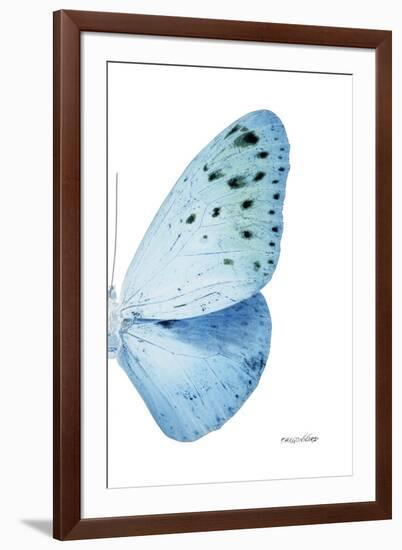 Miss Butterfly Euploea - X-Ray Right White Edition-Philippe Hugonnard-Framed Photographic Print