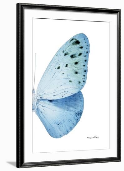 Miss Butterfly Euploea - X-Ray Right White Edition-Philippe Hugonnard-Framed Photographic Print