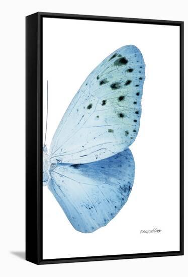 Miss Butterfly Euploea - X-Ray Right White Edition-Philippe Hugonnard-Framed Stretched Canvas