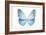 Miss Butterfly Euploea - X-Ray White Edition-Philippe Hugonnard-Framed Photographic Print