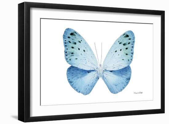 Miss Butterfly Euploea - X-Ray White Edition-Philippe Hugonnard-Framed Photographic Print