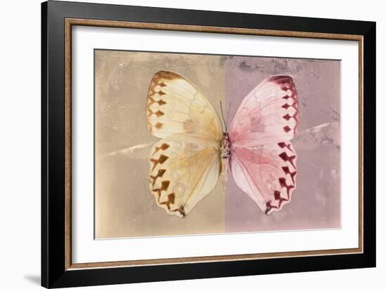 Miss Butterfly Formosana - Dark Beige & Red-Philippe Hugonnard-Framed Photographic Print