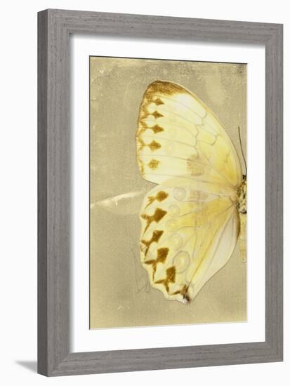 Miss Butterfly Formosana Profil - Yellow-Philippe Hugonnard-Framed Photographic Print