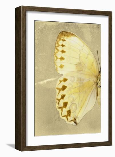 Miss Butterfly Formosana Profil - Yellow-Philippe Hugonnard-Framed Photographic Print