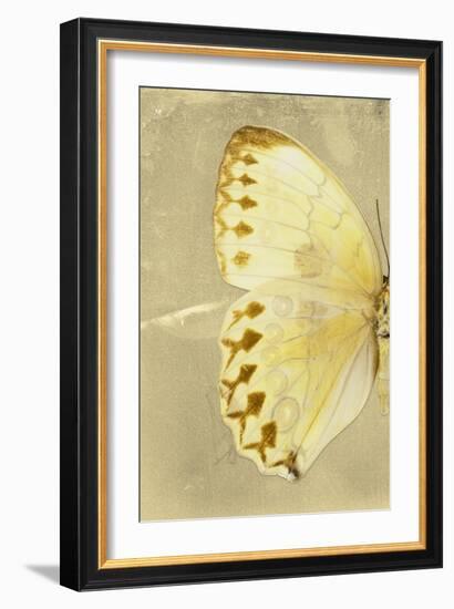 Miss Butterfly Formosana Profil - Yellow-Philippe Hugonnard-Framed Photographic Print