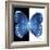 Miss Butterfly Formosana Sq - X-Ray B&W Edition-Philippe Hugonnard-Framed Photographic Print