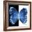 Miss Butterfly Formosana Sq - X-Ray B&W Edition-Philippe Hugonnard-Framed Photographic Print