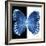 Miss Butterfly Formosana Sq - X-Ray B&W Edition-Philippe Hugonnard-Framed Photographic Print