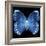 Miss Butterfly Formosana Sq - X-Ray Black Edition-Philippe Hugonnard-Framed Premium Photographic Print