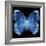 Miss Butterfly Formosana Sq - X-Ray Black Edition-Philippe Hugonnard-Framed Photographic Print