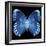 Miss Butterfly Formosana Sq - X-Ray Black Edition-Philippe Hugonnard-Framed Photographic Print